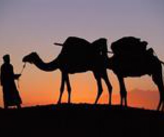 Sahara Camel trekking