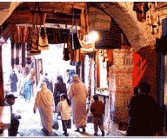 Marrakech guided tour