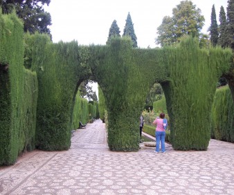 Alhambra guided tour 