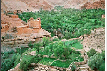 Morocco Oases tour 