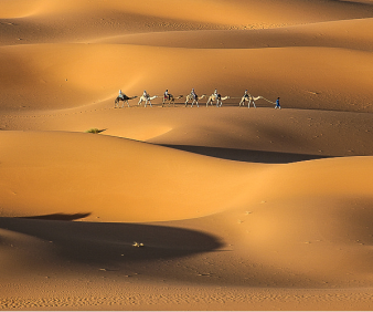 Merzouga dunes tour